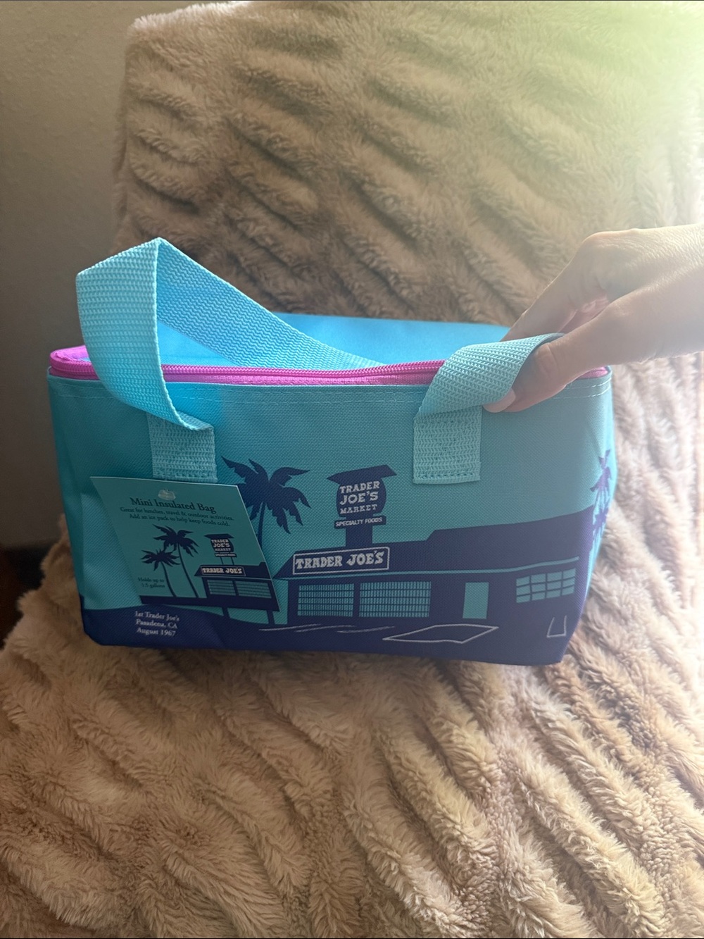 Trader Joe's Teal & Pink Mini Insulated Bag
